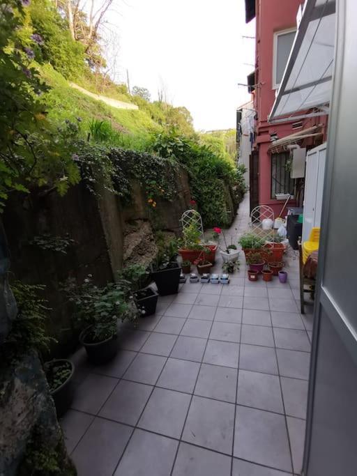 En San Sebastian Con Patio Exterior Apartment Anorga-Lugariz